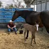 Eric Biggs175 - @619cowboy - TikTok