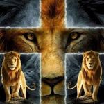 Eric Biggs - @eric.biggs.5245 - Instagram