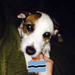 Eric Biggs - @eric.biggs.14 - Instagram