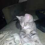 Eric Bingaman II - @bingy131 - Instagram