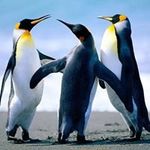Eric Bird - @bird3075 - Instagram