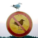 Eric Bird - Facebook