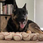 Eric Garfield - @eric_birdland22 - Instagram