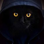 Eric Bishop - @ericbishop51 - Instagram