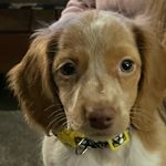 Eric Bjork - @bjork25 - Instagram