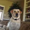 Eric Blades228 - @ericblades228 - TikTok