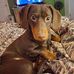 Eric Blades - Facebook