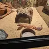 Eric Blais - @eric.blais1 - TikTok