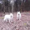 Eric Blais - @eric.blais - TikTok