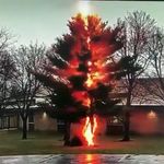 Eric Blasius - @ericblasius - Instagram