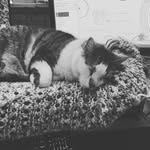 Eric Bliss - @ericbliss - Instagram