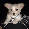 ericbliss84 - @users3bntbcb40 - TikTok