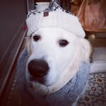 Éric Bloch - @bloch5292 - Instagram