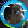 Eric Blond - @eric.blond - TikTok