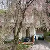 Eric Bloomberg - @eric.bloomberg - TikTok