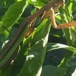 Eric Boggess - @ericb.ky - Instagram
