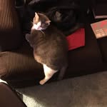 Eric Bohner - @eric_bohner - Instagram