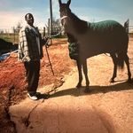 Eric Bolden - @ten_toes_dwn67 - Instagram