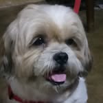 Christian Eric Bondoc - @christianeric523 - Instagram