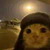 Eric Boni - @eric.boni - TikTok