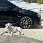 £R!€ R•dR|9ü£ż - @eric_boo.sti.n - Instagram