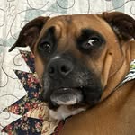 Eric Boots - @boots0nground - Instagram
