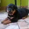 edbe - @erickborjas6 - TikTok