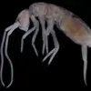 Eric Gallego Borrego - @eric.gb19 - TikTok