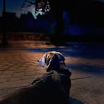 Eric Melano - @eric_melano_borszcz - Instagram