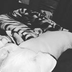 Eric saul botello raya - @ericbotello02 - Instagram