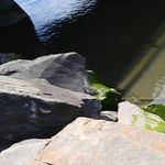 Eric Bouchard - @eric.bouchard.52687 - Instagram