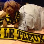 Eric Boucher - @eric.boucher.9212 - Instagram