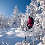 Eric Boucher - @eboucher01 - Instagram