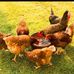 Eric Boucher - Facebook