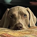 Eric Bowman - @ericwbowman - Instagram