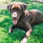 Eric Boyd - @ericboyd1234 - Instagram