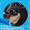 Eric Boyer - @eric.boyer2 - TikTok