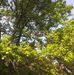 Eric Boykin - Facebook