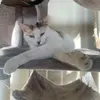 Ericaboylan— - @ericaaboylann - TikTok