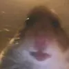 eric - @eric.bragg6 - TikTok