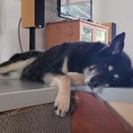 Eric Branger - @branger.eric - Instagram