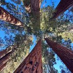 Eric Brannon - @chef_eric_brannon - Instagram