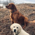Eric Brauch - @brauchstar18 - Instagram