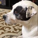 Eric Braverman - @ericbraverman11 - Instagram