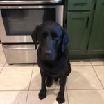 @ericcbrierley - Instagram