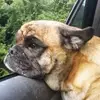 ericabrissette - @ericabrissette - TikTok