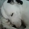 Eric Britton - @eric.britton38 - TikTok