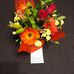 Eric Broad Veterinary Clinic - Facebook