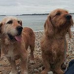 Eric Brochard - @ericbrochard - Instagram