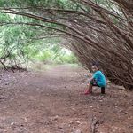 Eric Brochu - @portsideeric - Instagram